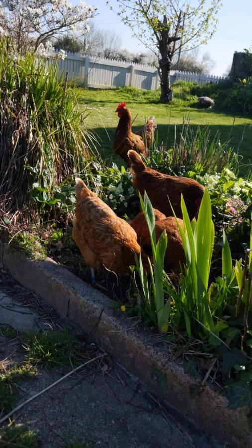 Morland Bed and Breakfast Burrowbridge Εξωτερικό φωτογραφία