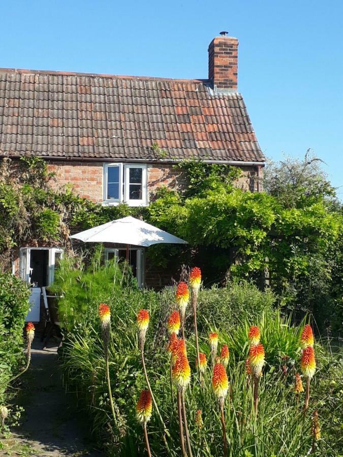 Morland Bed and Breakfast Burrowbridge Εξωτερικό φωτογραφία