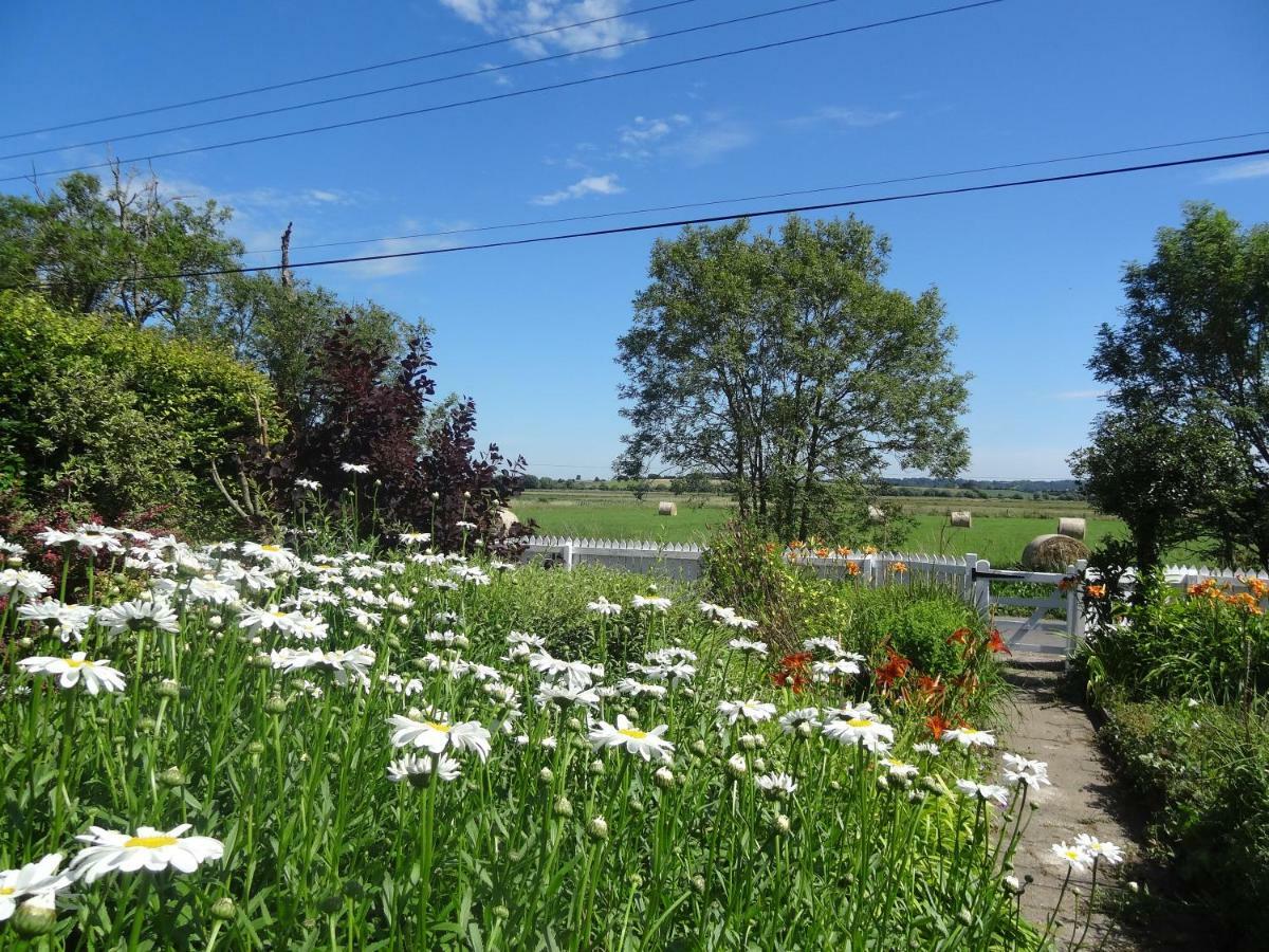 Morland Bed and Breakfast Burrowbridge Εξωτερικό φωτογραφία