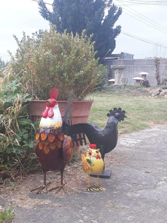 Morland Bed and Breakfast Burrowbridge Εξωτερικό φωτογραφία